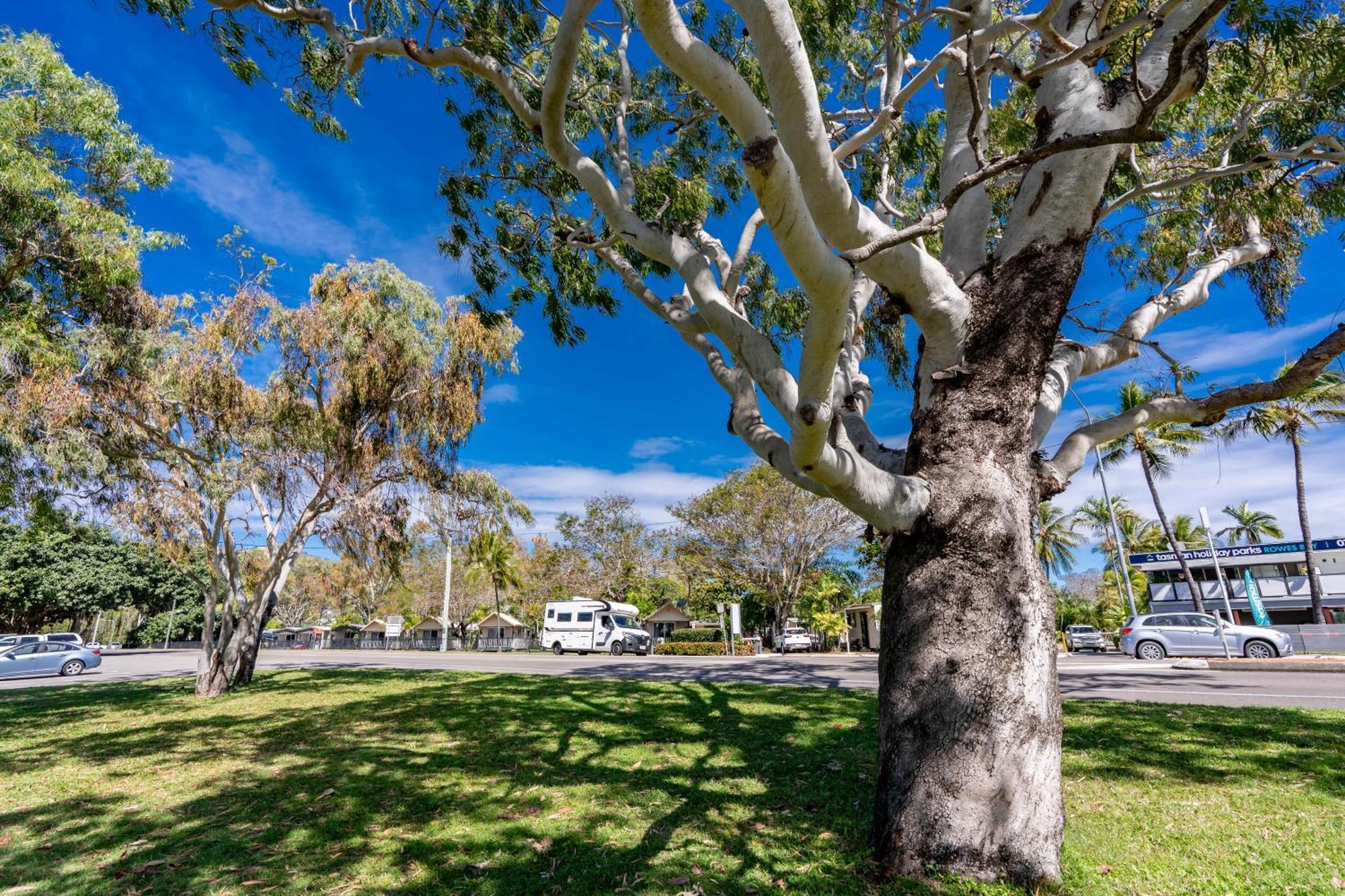 Big4 Tasman Holiday Parks - Rowes Bay Townsville Exteriér fotografie
